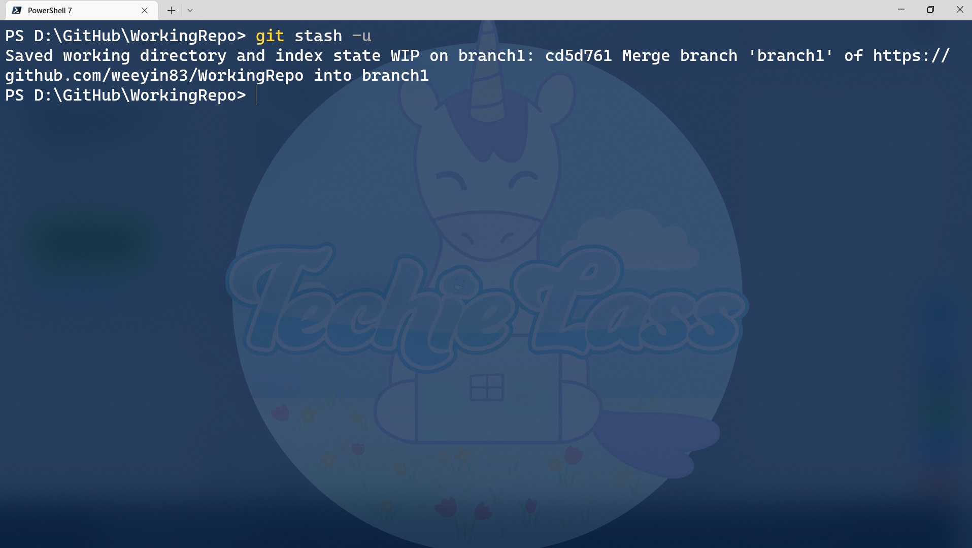 git stash -u command