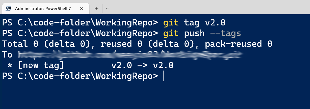 Push your tags to the remote repository