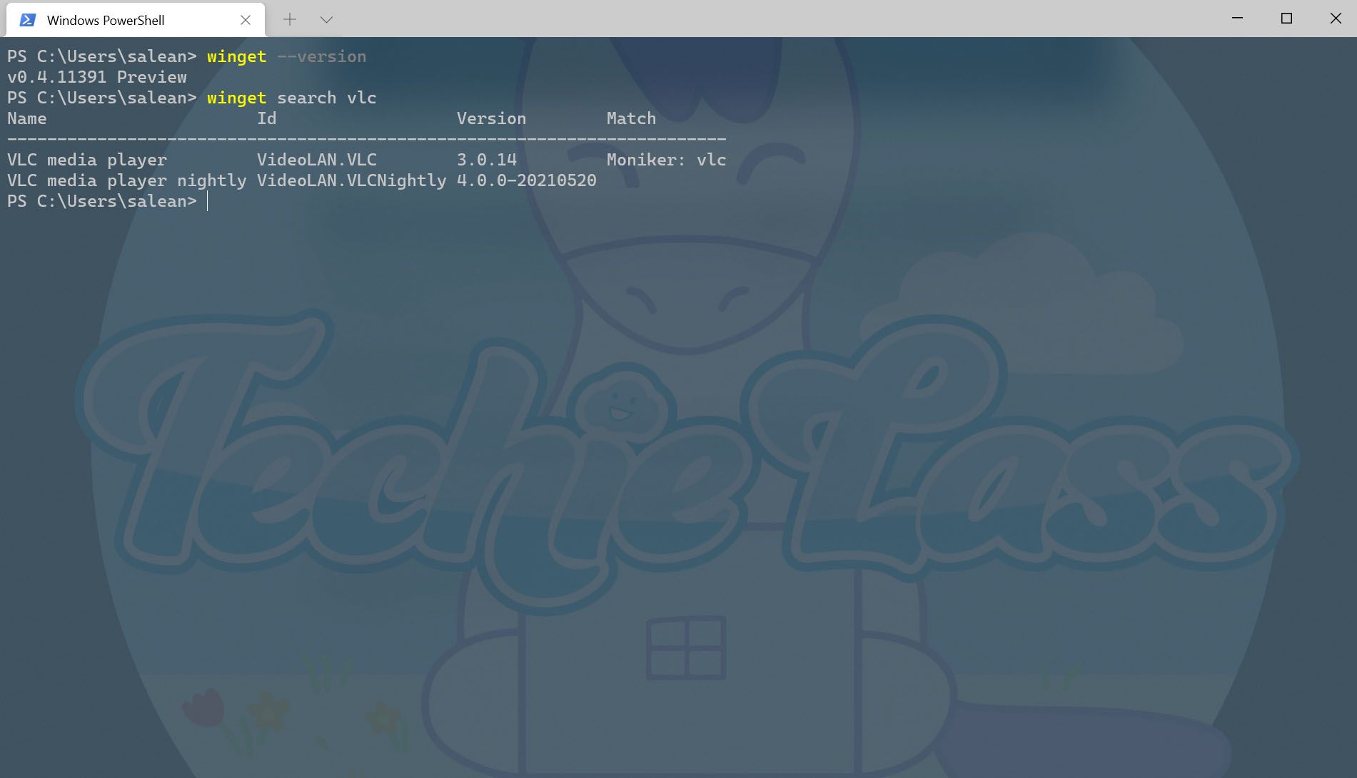 Winget Install VLC