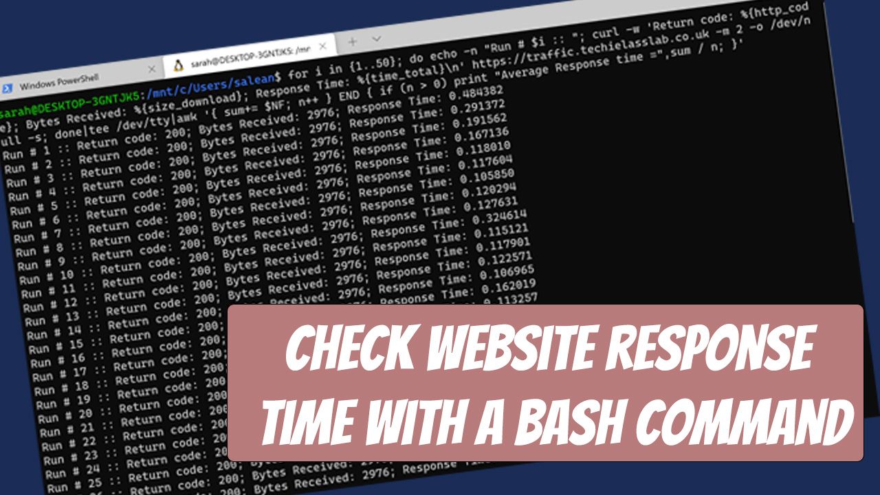 Check website response time with a bash command