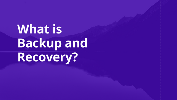 What is Backup and Recovery?